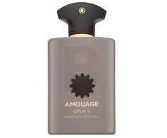 Amouage Opus V Woods Symphony EDP kvepalai vyrams, 100 ml
