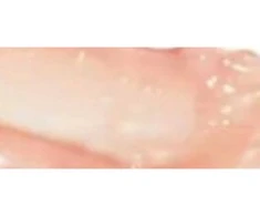 Attitude Oceanly lip gloss (Lūpų blizgis) 3.4 g, Silky Rožinė