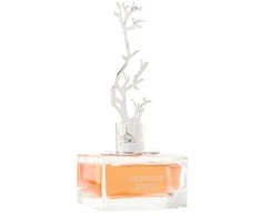 Aurora Scents Deciduous Spring - EDP 100 ml + EDP 9 ml