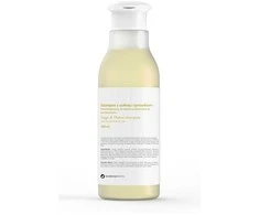 Botanicapharma Šampūnas nuo pleiskanų ir riebalų 250ml