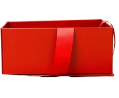 Cartier Plastic Ekranas