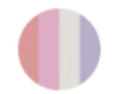 Cle de Peau Beaute The Luminizing Face Enhancer Illuminating Blush Highlighter Compact 201 1 Shade, 10 g