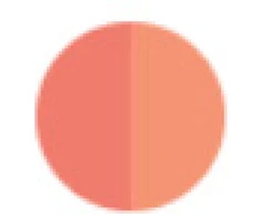 Set Duo Cle de Peau Beaute Blush Duo Blush Powder 104 Refill, 2 vnt., 6 g