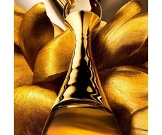 Christian Dior DIOR J'adore L'Or Essence De Parfum kvepalai moterims, 80 ml
