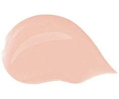 Dolce&amp;Gabbana Dolce &amp; Gabbana Drėkinantis tonuotas kremas (Blueberry Nutri-Tint), 30 ml, 2C