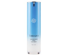 Terrazen Aqua Recharge Moist Gel Kreminis drėkinamasis kremas sausai veido odai, gelinės konsistencijos, 60 g