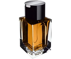 Dunhill Custom EDT tualetinis vanduo vyrams, 50 ml