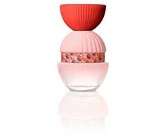 El Ganso Fun y Chic EDP 100 Purškiklis