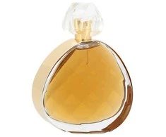 Elizabeth Arden Untold Absolu EDP parfumuotas vanduo moterims, 100 ml