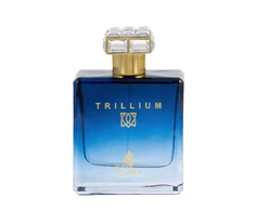Emir Trillium EDP parfumuotas vanduo vyrams, 100 ml
