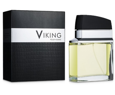 Flavia Parfum Flavia Viking Pour Homme EDP parfumuotas vanduo vyrams, 100 ml