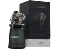 French Avenue Thunder EDP parfumuotas vanduo unisex, 100 ml