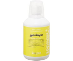 Kerzon Laundry Soap Gym Tonique Sportinių audinių skalbiklis, 500 ml