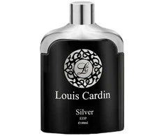 Louis Cardin Sidabrinis Homme EDP parfumuotas vanduo vyrams, 100 ml