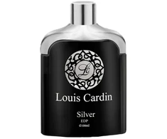 Louis Cardin Sidabrinis Homme EDP parfumuotas vanduo vyrams, 100 ml