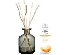 „Maison Berger Paris“ dovanų rinkinys „Aroma Energy“ difuzorius pilka + papildymas „Fresh Tonikas“, 200 ml