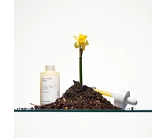 Mid/night 00.00 00.22 Morning Vitamin Booster Face Serum veido serumas, 30 ml