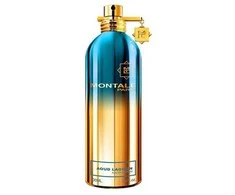 Montale Paris Aoud Lagoon UNISEX (Kvepalai Vyrams ir Moterims) EDP - 100ml