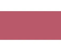 NARS ilgai išliekantys lūpų dažai (Explicit Lipstick) 3,8 g, 882 Unashamed