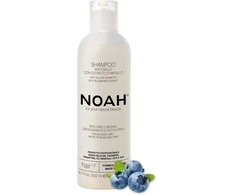 Noah 1.9. Anti-Geltona Šampūnas Geltonus atspalvius neutralizuojantis šampūnas, 250 ml