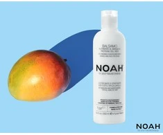 Noah 2.1. maitininantis Conditioner With Mango And Rice Proteins Maitinamasis balzamas lengvinantis plaukų iššukavimą, 250 ml