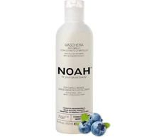 Noah 2.6. Anti-Geltona Hair Mask Geltonus tonus neutralizuojanti plaukų kaukė, 250 ml