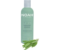 Noah YAL Hydrating And Restorative Treatment Šampūnas Atkuriamasis drėkinantis šampūnas su hialurono rūgštimi ir šalaviju, 250 ml