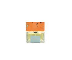 Pictor Parfum Airbrush PP kvepalai unisex, 100 ml