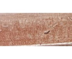 Pola Cosmetics antakių pieštukas su Precise Style šepetėliu r 5 ml, P1