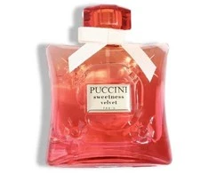 Puccini Sweetness Velvet EDP parfumuotas vanduo moterims, 100 ml