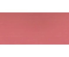 PUPA Milano Blush Wonder Me (skaistalai) 4 g, 005 Deep Passion - matiniai