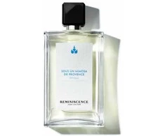 Reminiscence Sous Un Mimosa De Provence EDT tualetinis vanduo vyrams, 100 ml