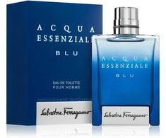 Salvatore Ferragamo Acqua Essenziale Blu EDT tualetinis vanduo vyrams, 100 ml