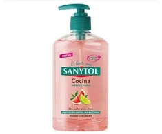 "Sanytol" virtuvinis rankų muilas 250ml