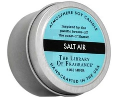 The Library Of Fragrance Salt Air 142 g