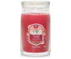 Yankee Candle Signature Santa On Skis Świeca Duża 567g