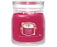 Yankee Candle Santa On Skis kvepianti žvakė, 368 g
