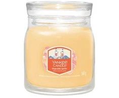 Yankee Candle Slopeside Spritz kvepianti žvakė, 368 g