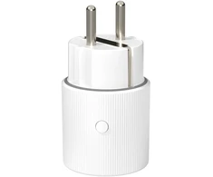 Avatto OT60-FR Smart Socket