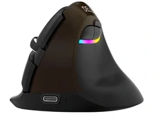 Delux M618Mini Gold Ergonomic Pelė (USB / Bluetooth / 2.4G)