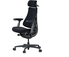 LiberNovo Omni 48 cm Ergonomic Chair (Juodas)