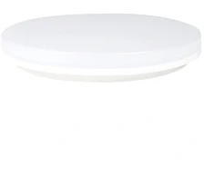 Lubinis šviestuvas Ceiling light Lepro