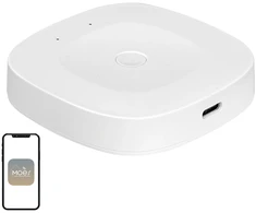 MOES ZHUB-C ZigBee/Ethernet Gateway