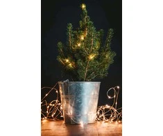 Springos LED girlianda su šilta balta šviesa