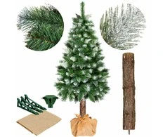Kalėdinė eglutė Springos CT0112 220 cm su deimantiniu šerkšnu