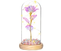 Rožė stikle Springos 22 cm