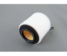 BMW originalus oro filtras 13717524412