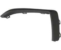 BMW 1 Serija F40 Kairys Dešinės Pusės Trimas Ant Grillio Pagrindas Originalus 51117475991