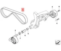 Bmw 3 E46 E90 E91 E92 5 E60 E61 6 E63 E64 X3 E83 X5 E53 Ribtas V Diržas Originalus 64557792851