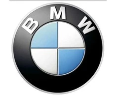BMW 3 E93 Priekinis Kėglių Atsparas Kairysis Originalus 51617046335